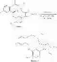 Fig. 157 - Macrocyclic derivatives for the treatment of diseases