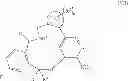 Fig. 16 - Macrocyclic derivatives for the treatment of diseases
