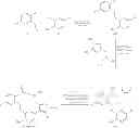 Fig. 169 - Macrocyclic derivatives for the treatment of diseases