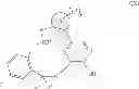 Fig. 18 - Macrocyclic derivatives for the treatment of diseases