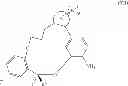 Fig. 21 - Macrocyclic derivatives for the treatment of diseases