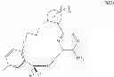Fig. 22 - Macrocyclic derivatives for the treatment of diseases