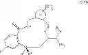 Fig. 238 - Macrocyclic derivatives for the treatment of diseases
