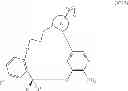 Fig. 31 - Macrocyclic derivatives for the treatment of diseases
