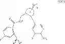 Fig. 34 - Macrocyclic derivatives for the treatment of diseases