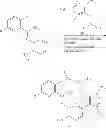 Fig. 48 - Macrocyclic derivatives for the treatment of diseases