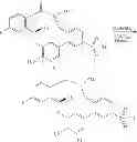 Fig. 49 - Macrocyclic derivatives for the treatment of diseases