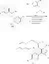Fig. 53 - Macrocyclic derivatives for the treatment of diseases