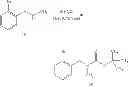 Fig. 74 - Macrocyclic derivatives for the treatment of diseases