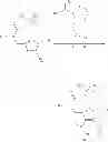 Fig. 89 - Macrocyclic derivatives for the treatment of diseases
