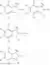Fig. 03 - PHARMACEUTICAL FORMULATIONS OF SUBSTITUTED AZAINDOLEOXOACETIC PIPERAZINE DERIVATIVES WITH PROTEASE INHIBITORS