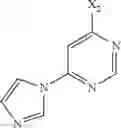 Fig. 1763 - PHARMACEUTICAL FORMULATIONS OF SUBSTITUTED AZAINDOLEOXOACETIC PIPERAZINE DERIVATIVES WITH PROTEASE INHIBITORS