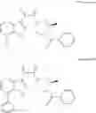 Fig. 981 - PHARMACEUTICAL FORMULATIONS OF SUBSTITUTED AZAINDOLEOXOACETIC PIPERAZINE DERIVATIVES WITH PROTEASE INHIBITORS