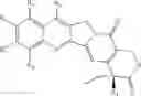 Fig. 06 - Analogs of camptothecin