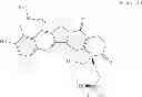 Fig. 07 - DOSE REGIME FOR CAMPTOTHECIN DERIVATIVES