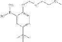 Fig. 28 - Aryl derivatives and uses thereof