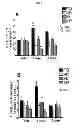 Fig. 05 - Use of Epothilone D in Treating Tau-Associated Diseases Including Alzheimer's Disease