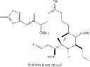 Fig. 13 - Use of Epothilone D in Treating Tau-Associated Diseases Including Alzheimer's Disease