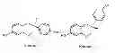 Fig. 01 - Use of equol for treating androgen mediated diseases