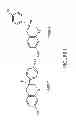 Fig. 02 - Use of equol for treating androgen mediated diseases