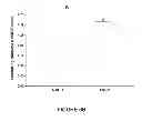 Fig. 08 - Use of equol for treating androgen mediated diseases