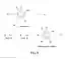 Fig. 04 - Halogenated phenols for diagnostics, antioxidant protection and drug delivery