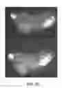 Fig. 28 - Halogenated phenols for diagnostics, antioxidant protection and drug delivery