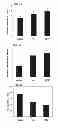 Fig. 07 - Biodegradable nanocomposites with enhanced mechanical properties for soft tissue engineering