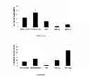Fig. 08 - Biodegradable nanocomposites with enhanced mechanical properties for soft tissue engineering