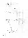 Fig. 02 - TRANSKETALIZED COMPOSITIONS, SYNTHESIS, AND APPLICATIONS