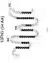 Fig. 06 - Universal fibronectin type III binding-domain libraries