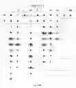 Fig. 41 - Universal fibronectin type III binding-domain libraries