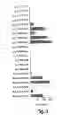 Fig. 04 - Immunostimulatory G, U-containing oligoribonucleotides