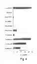 Fig. 05 - Immunostimulatory G, U-containing oligoribonucleotides