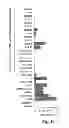 Fig. 06 - Immunostimulatory G, U-containing oligoribonucleotides