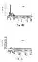Fig. 08 - Immunostimulatory G, U-containing oligoribonucleotides