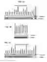 Fig. 02 - BRACHYURY POLYPEPTIDES AND METHODS FOR USE