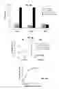 Fig. 04 - BRACHYURY POLYPEPTIDES AND METHODS FOR USE