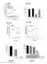 Fig. 05 - BRACHYURY POLYPEPTIDES AND METHODS FOR USE