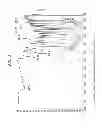 Fig. 06 - Moxifloxacin hydrochloride compounds and intermediates and methods for making same
