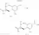 Fig. 19 - Process for the preparation of protected L-alanine derivatives