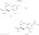 Fig. 20 - Process for the preparation of protected L-alanine derivatives