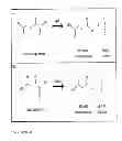 Fig. 12 - COMPOSITIONS AND METHODS FOR 3-HYDROXYPROPIONATE BIO-PRODUCTION FROM BIOMASS