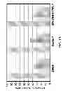 Fig. 11 - PROCESS FOR MAKING PROPYLENE FROM OLIGOMERIZATION AND CRACKING