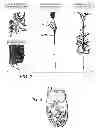 Fig. 03 - Enhancement of biological functioning by the use of electromagnetic and magnetic fields