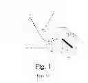 Fig. 02 - Intubation Tube