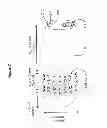 Fig. 03 - Multiple electrodes and connecting wires for neural and muscular stimulation and measurement device