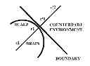 Fig. 01 - NATURE-INSPIRED SIGNAL PROCESSING