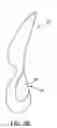 Fig. 04 - LUMBAR SUPPORT SYSTEM