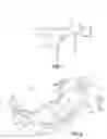 Fig. 02 - DISPOSABLE ABSORBENT PRODUCT WITH DETECTABLE INODOROUS COMPONENT, AND SYSTEMS INCLUDING SAME